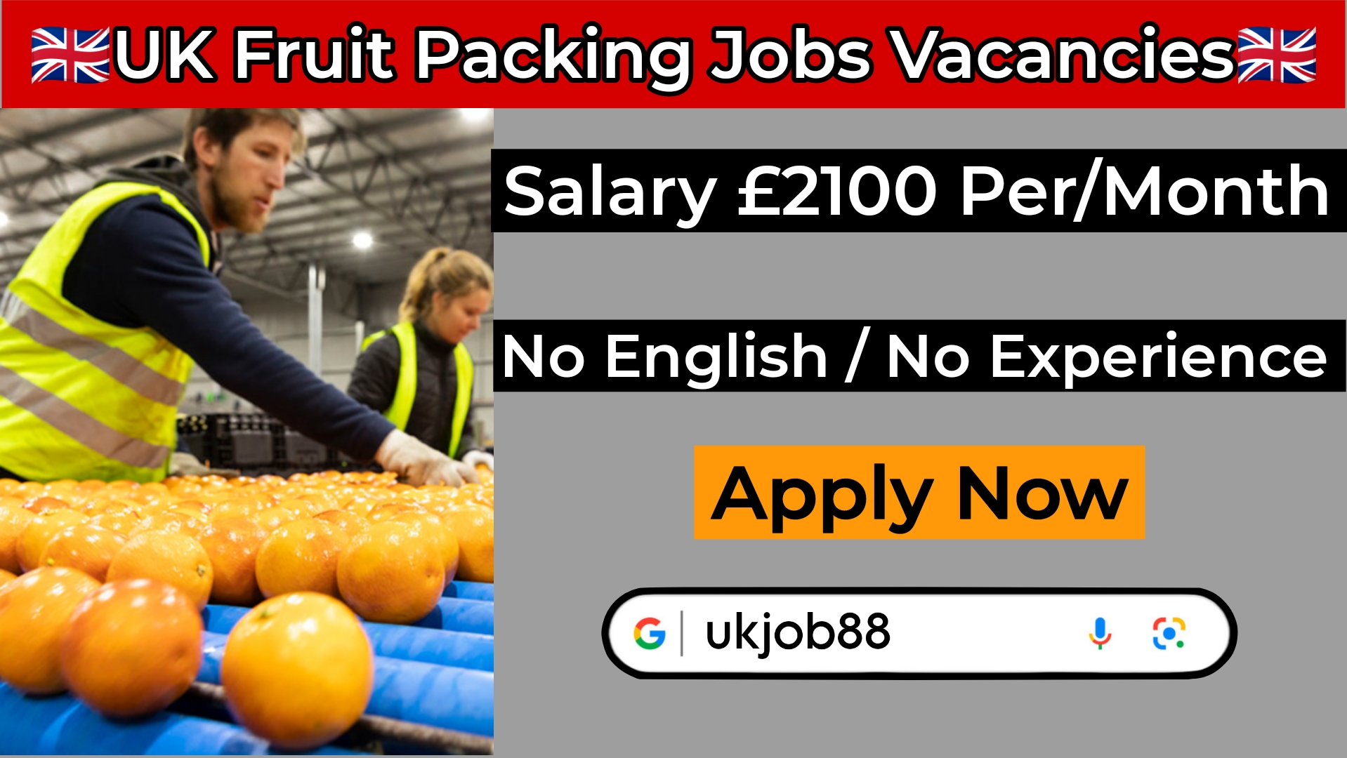 ukjob88-fruitpacking